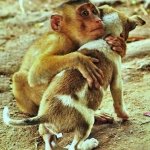 600388_396526893718193_1773448756_n