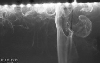 The power of Feedback